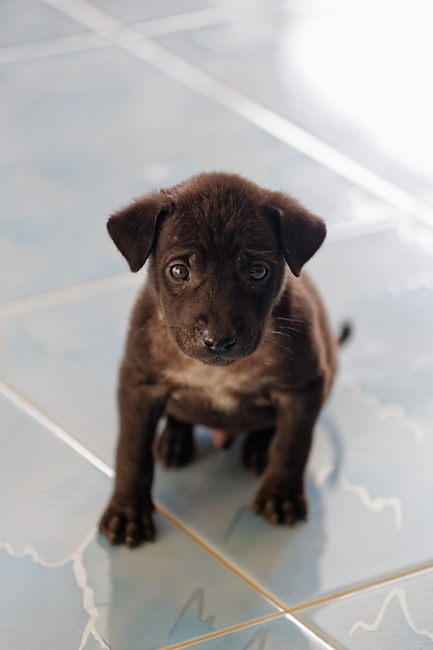 Famille et amis-MAI17-012